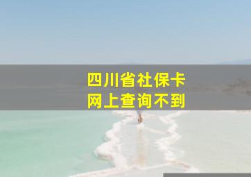 四川省社保卡网上查询不到