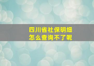 四川省社保明细怎么查询不了呢