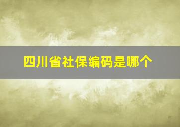 四川省社保编码是哪个