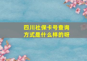 四川社保卡号查询方式是什么样的呀