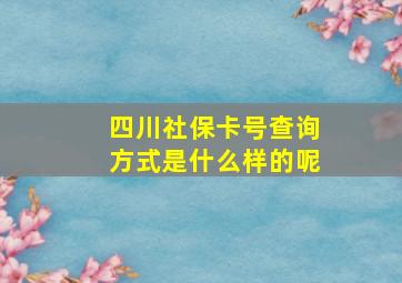 四川社保卡号查询方式是什么样的呢