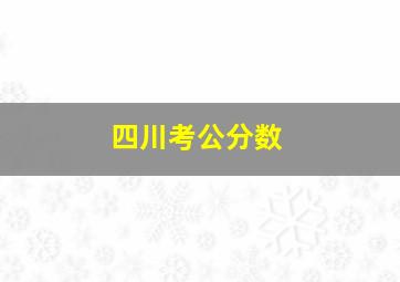 四川考公分数