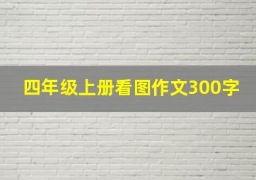 四年级上册看图作文300字