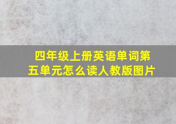 四年级上册英语单词第五单元怎么读人教版图片