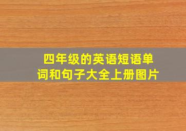 四年级的英语短语单词和句子大全上册图片