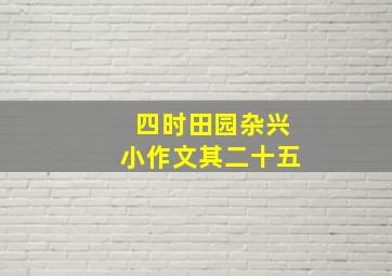 四时田园杂兴小作文其二十五