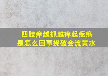 四肢痒越抓越痒起疙瘩是怎么回事挠破会流黄水