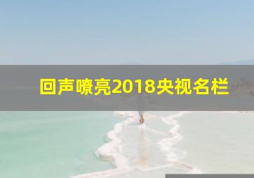 回声嘹亮2018央视名栏