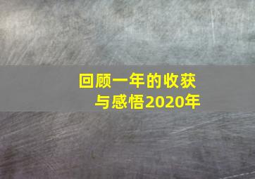 回顾一年的收获与感悟2020年