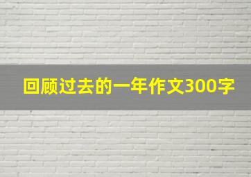 回顾过去的一年作文300字