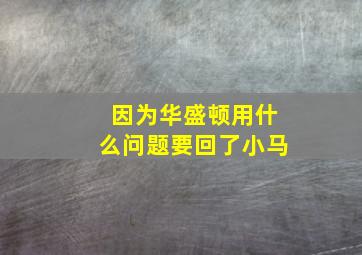 因为华盛顿用什么问题要回了小马