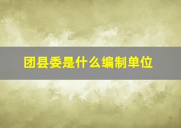 团县委是什么编制单位