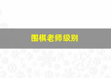 围棋老师级别