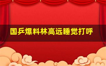 国乒爆料林高远睡觉打呼