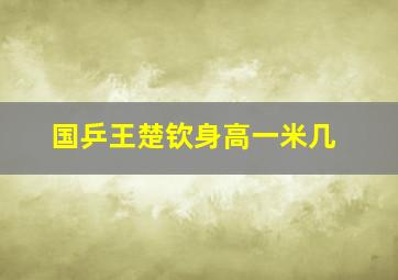 国乒王楚钦身高一米几