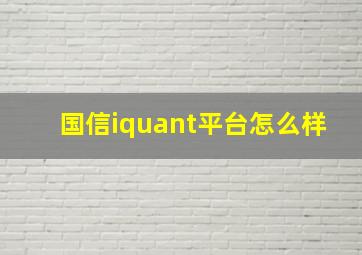 国信iquant平台怎么样