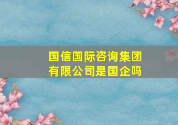 国信国际咨询集团有限公司是国企吗