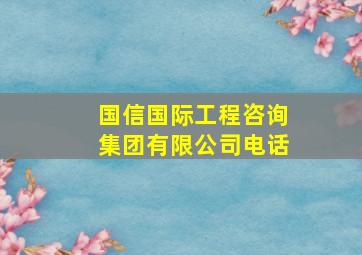 国信国际工程咨询集团有限公司电话