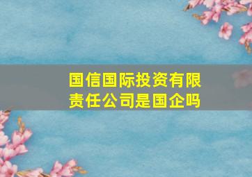 国信国际投资有限责任公司是国企吗