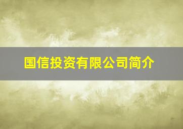 国信投资有限公司简介