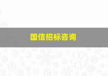 国信招标咨询