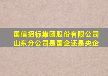 国信招标集团股份有限公司山东分公司是国企还是央企