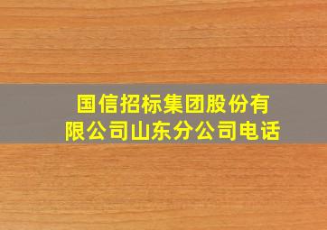 国信招标集团股份有限公司山东分公司电话