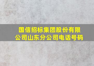 国信招标集团股份有限公司山东分公司电话号码