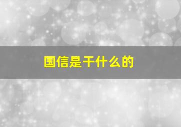 国信是干什么的