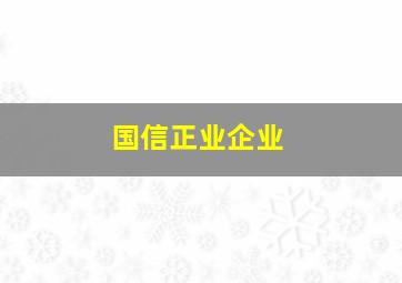 国信正业企业