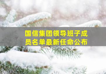 国信集团领导班子成员名单最新任命公布