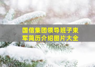 国信集团领导班子束军简历介绍图片大全