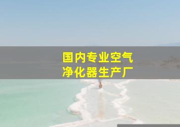 国内专业空气净化器生产厂