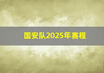 国安队2025年赛程