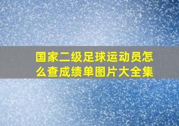 国家二级足球运动员怎么查成绩单图片大全集