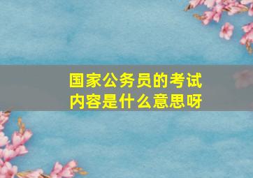 国家公务员的考试内容是什么意思呀