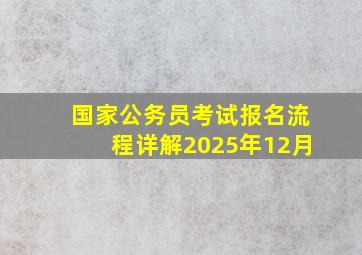 国家公务员考试报名流程详解2025年12月