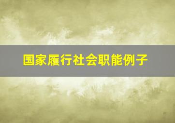 国家履行社会职能例子