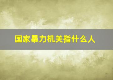 国家暴力机关指什么人