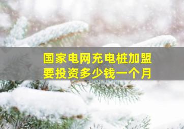 国家电网充电桩加盟要投资多少钱一个月