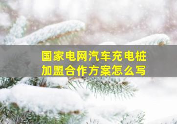 国家电网汽车充电桩加盟合作方案怎么写