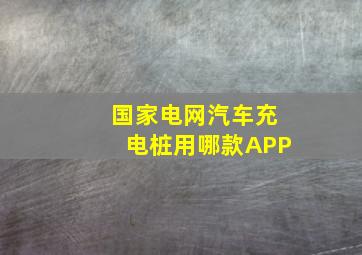 国家电网汽车充电桩用哪款APP