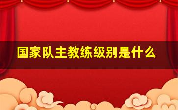 国家队主教练级别是什么