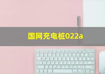 国网充电桩022a