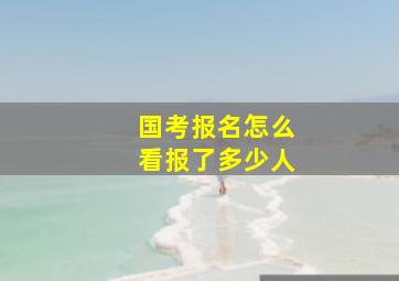 国考报名怎么看报了多少人