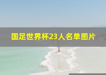 国足世界杯23人名单图片