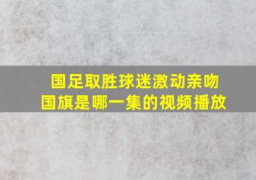 国足取胜球迷激动亲吻国旗是哪一集的视频播放