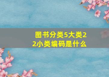 图书分类5大类22小类编码是什么