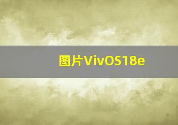 图片VivOS18e