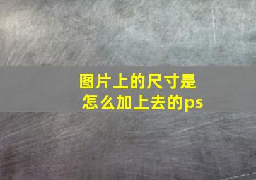 图片上的尺寸是怎么加上去的ps